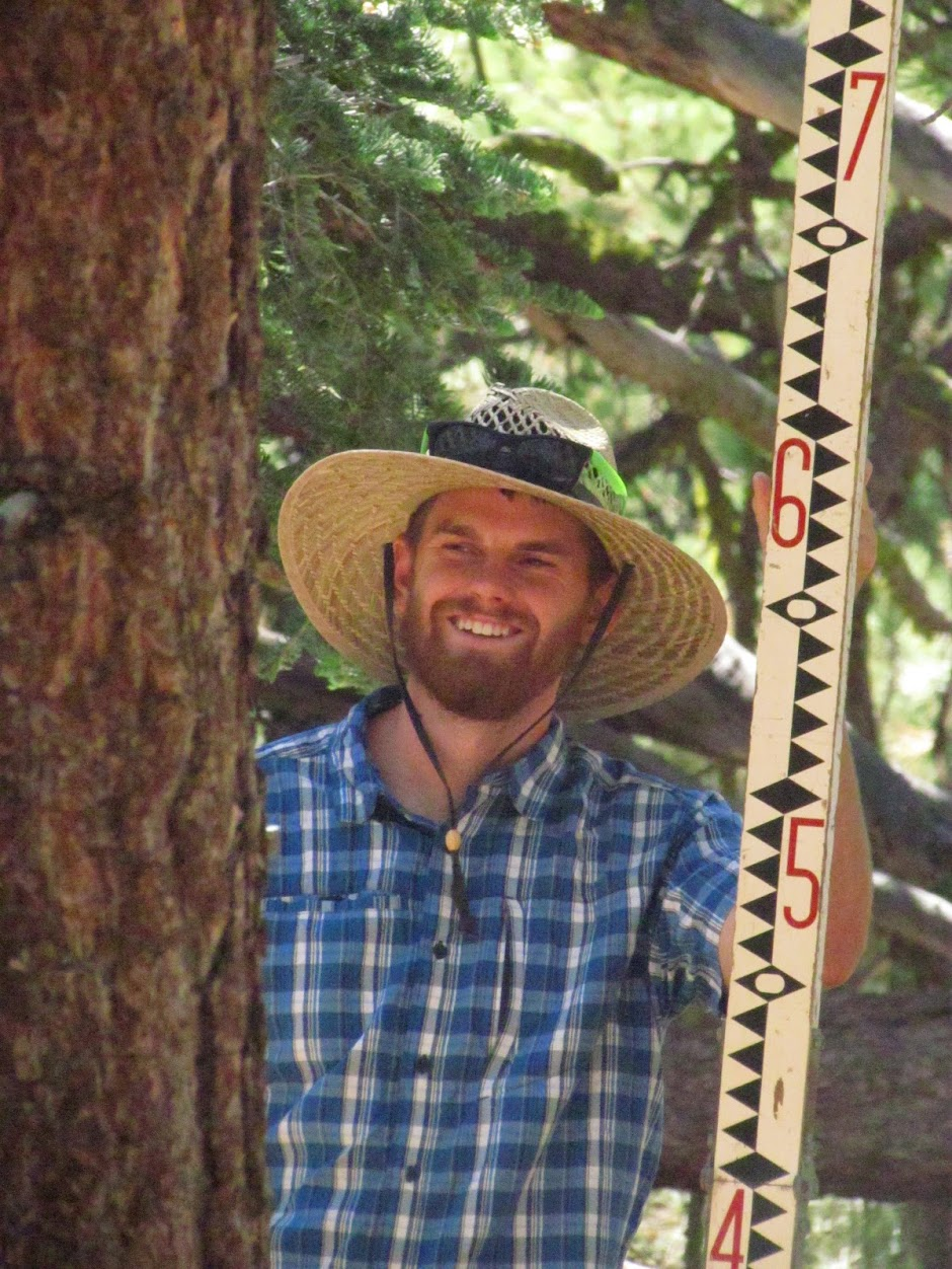 Summer field student Summer field student