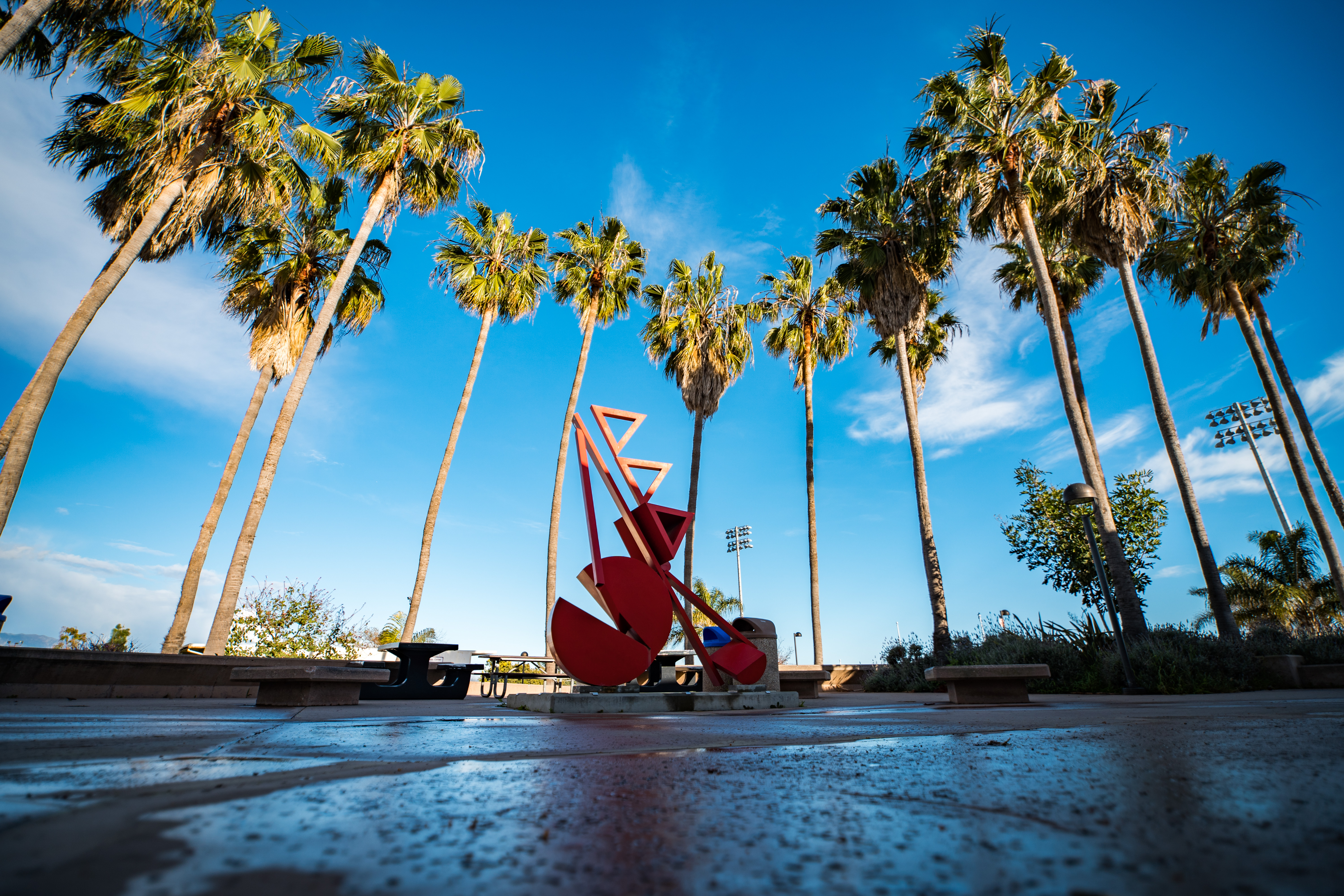 campus photo